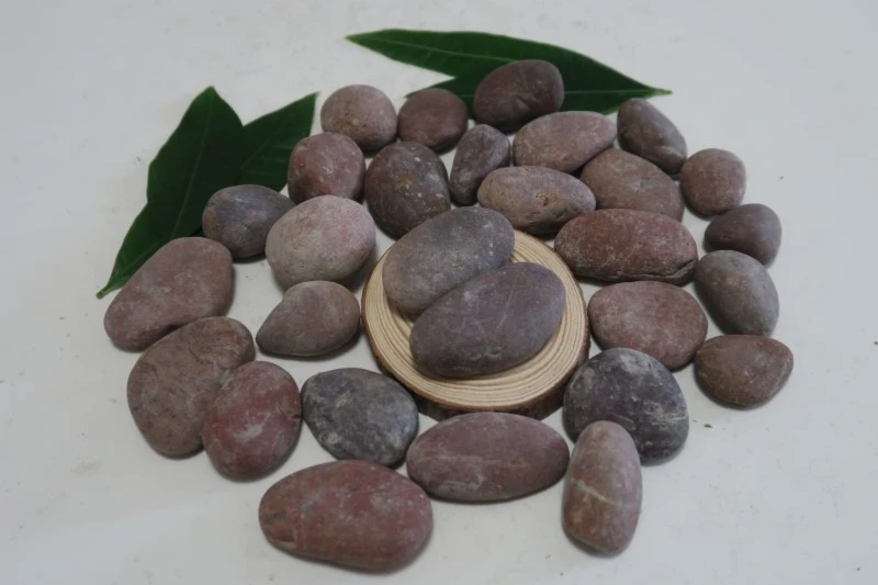 product-800-533