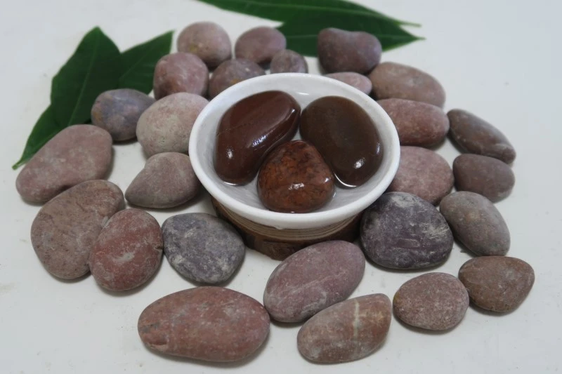 product-800-533