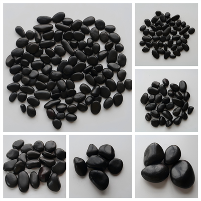 Pedres de la platja de còdols